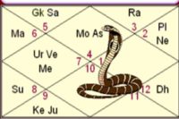 Do Kaal Sarpa & Naga Dosha Remedies Work ? Do Kaal Sarpa & Naga Dosha Remedies Work ?